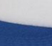 White/Royal